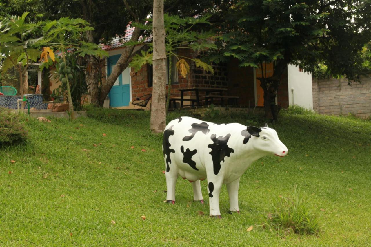 Bavi Annam Garden Ba Vi Exterior foto